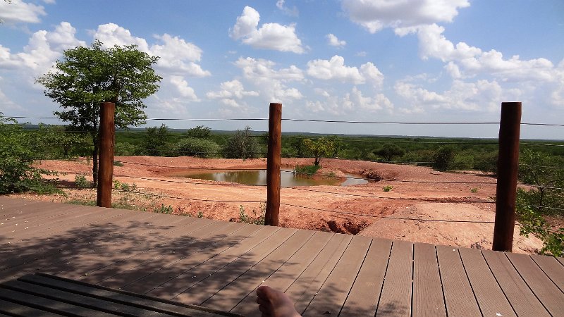aip.jpg - Mopane Bush Lodge, Blick vom Pool aus das Wasserloch