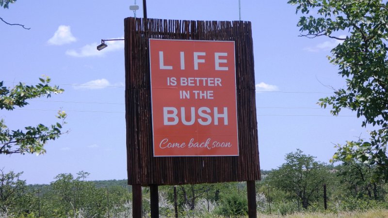 ajf.jpg - Abschied von Mopane Bush Lodge