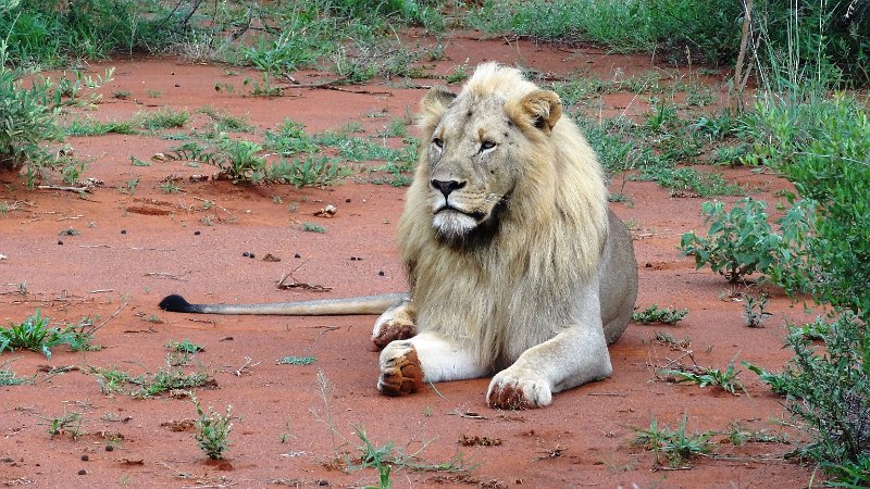 ath.jpg - 