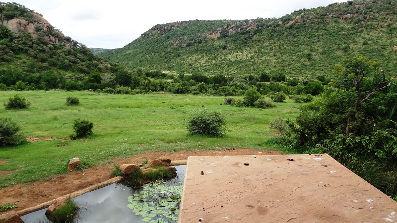 awo.jpg - Kwa Maritane Bush Lodge, Pilanesberg, letzte Station