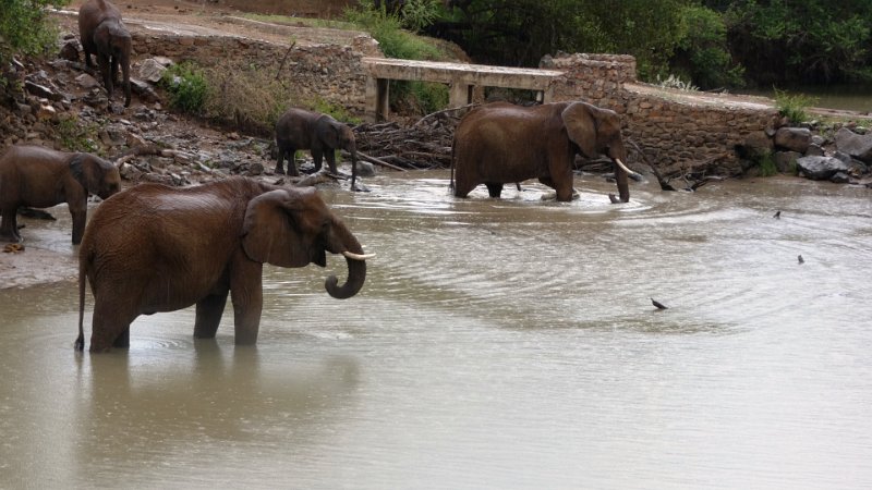 aat.jpg - Thakadu River Camp