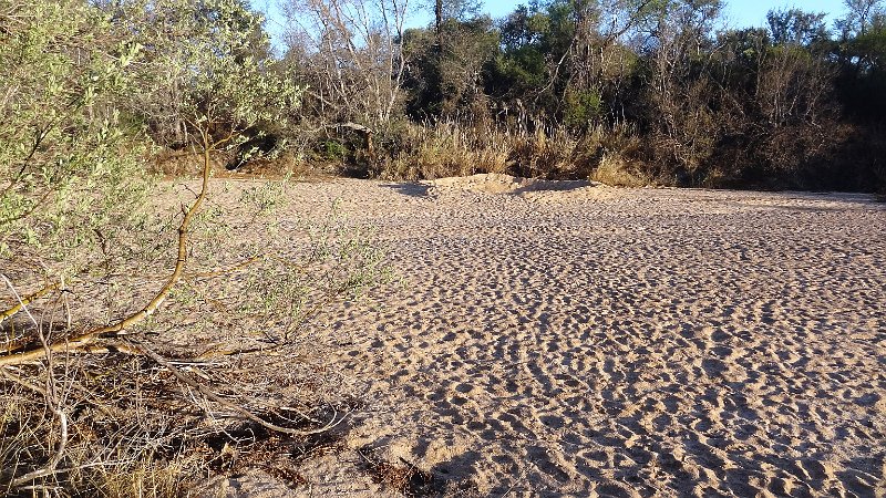 aay.jpg - Ntasha River - Francistown - Botswana - Woodlands Stop Over and Lodge