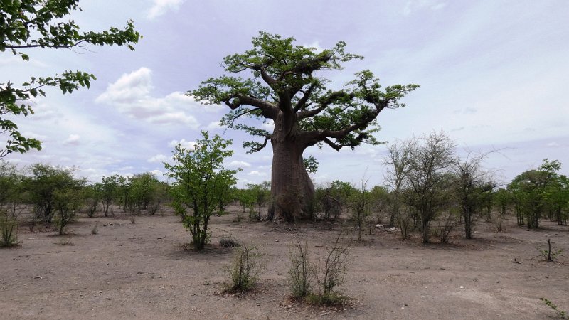 abr.jpg - Baobap