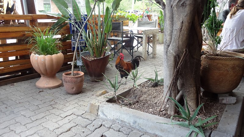 afe.jpg - Maun im Restaurant