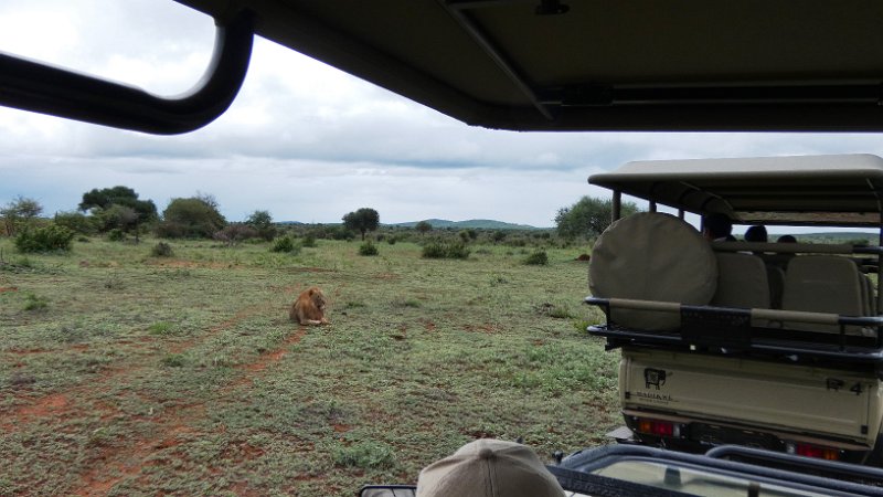 ahk.jpg - Madikwe Game Reserve