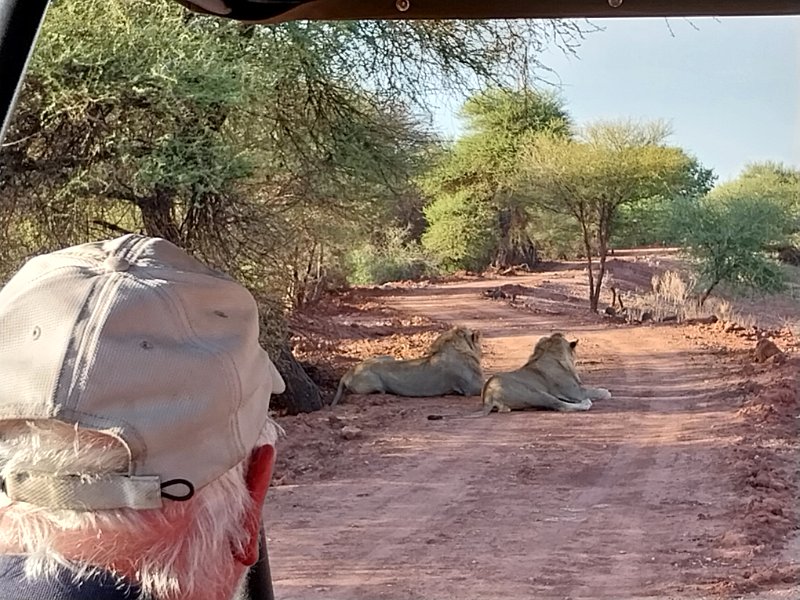 abi.jpg - Da fahren wir außen herum