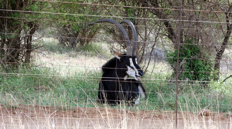 aer.jpg - Auf dem Weg nach Madikwe auf dem Nachbargrundstück
