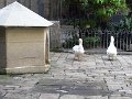 DSC00360