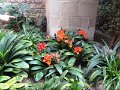 DSC00379