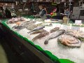 DSC00397
