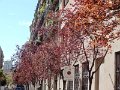 DSC00432