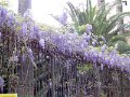 DSC00433