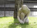DSC00438