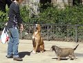 DSC00447