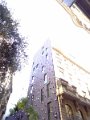 DSC00516