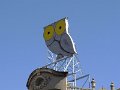 DSC00519