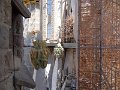 DSC00551