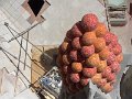 DSC00561