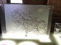 DSC00608