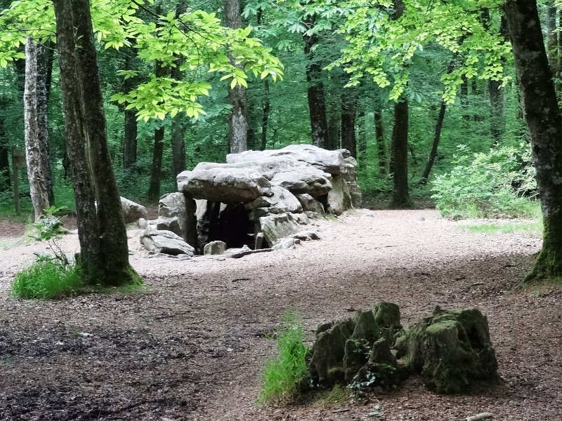 DSC07161.JPG - Dolmen, alte Grabesstätte