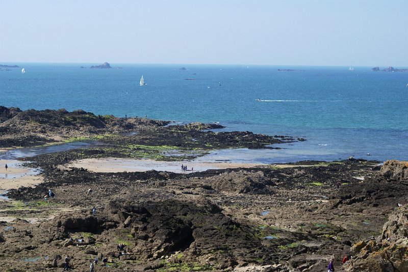 DSC08775.JPG