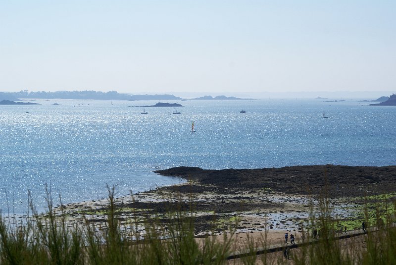 DSC08777.JPG