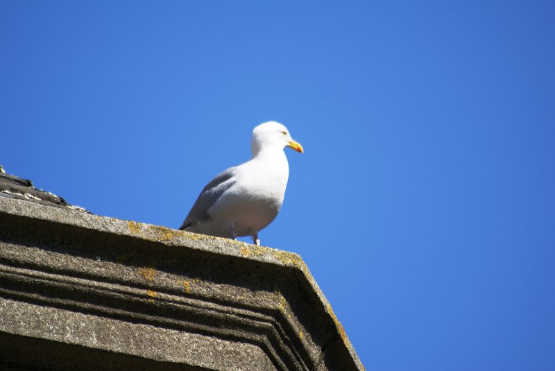 DSC08790.JPG