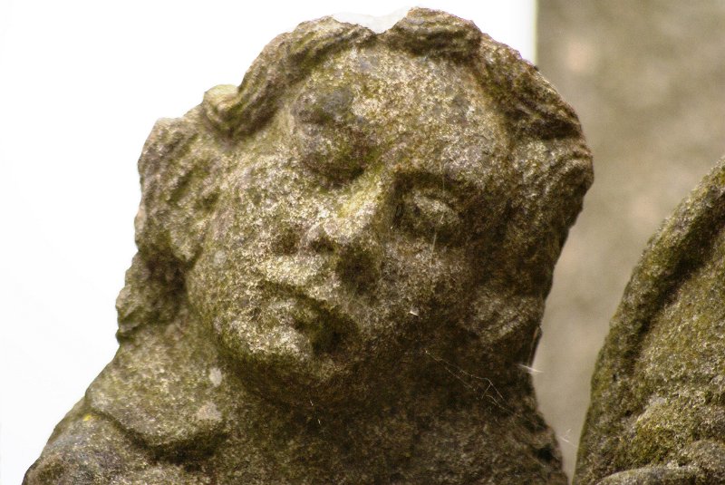 DSC08814.JPG