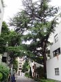 DSC06830