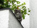 DSC06832