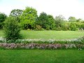 DSC06893