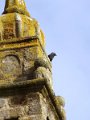 DSC07019