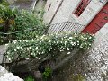 DSC07124