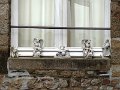 DSC07129