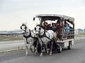 DSC07137