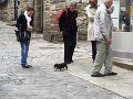 DSC07196