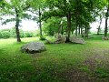 DSC07228