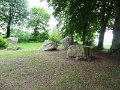 DSC07229