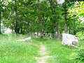 DSC07233