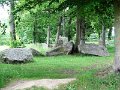 DSC07238