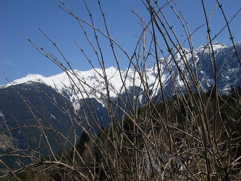 SDC10985.JPG - Piburg