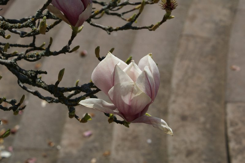 DSC02892.JPG