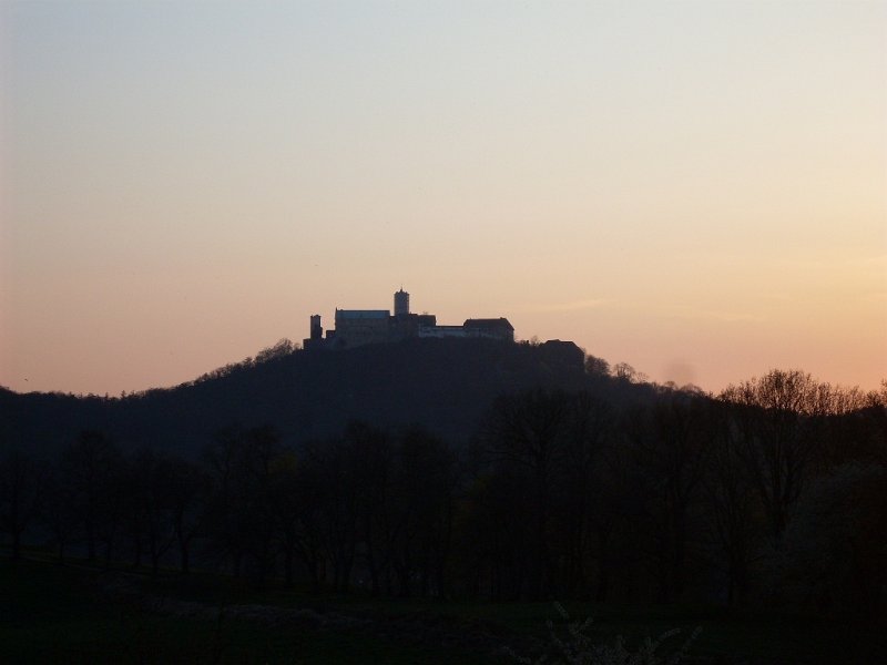 SDC12106.JPG