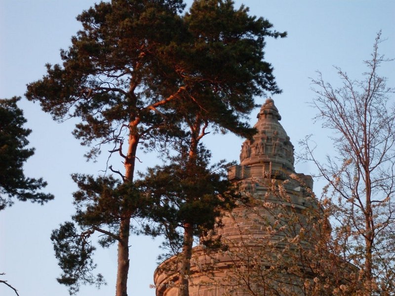 SDC12112.JPG