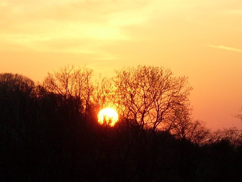 SDC12119.JPG