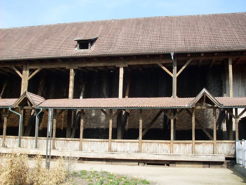 SDC12166.JPG - Gradierwerk in Bad Salzungen