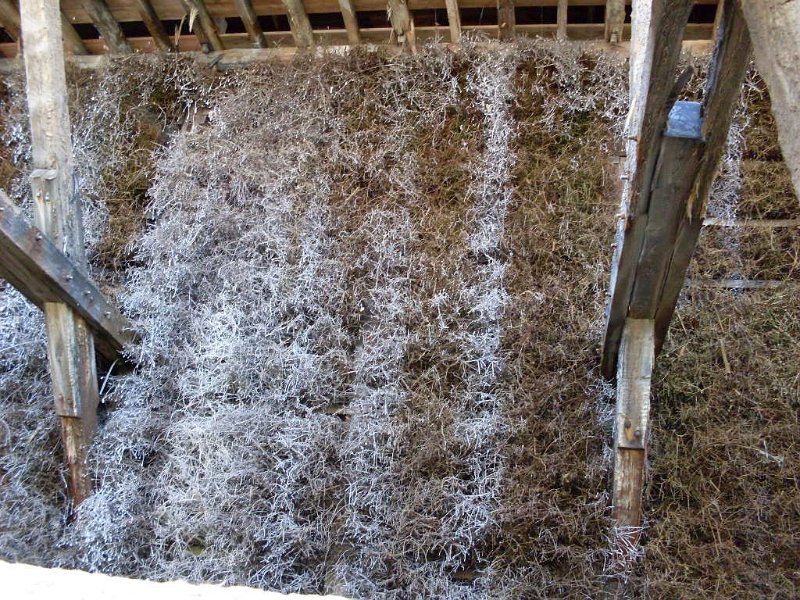 SDC12174.JPG - Da kommt das Salzwasser hinab, sehr gesund
