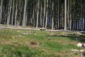 DSC02855