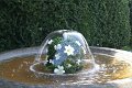 DSC02866