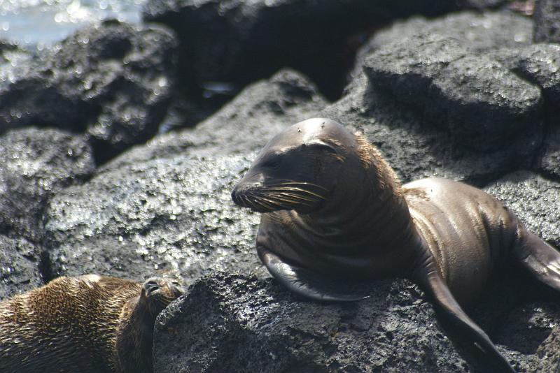DSC01788.JPG